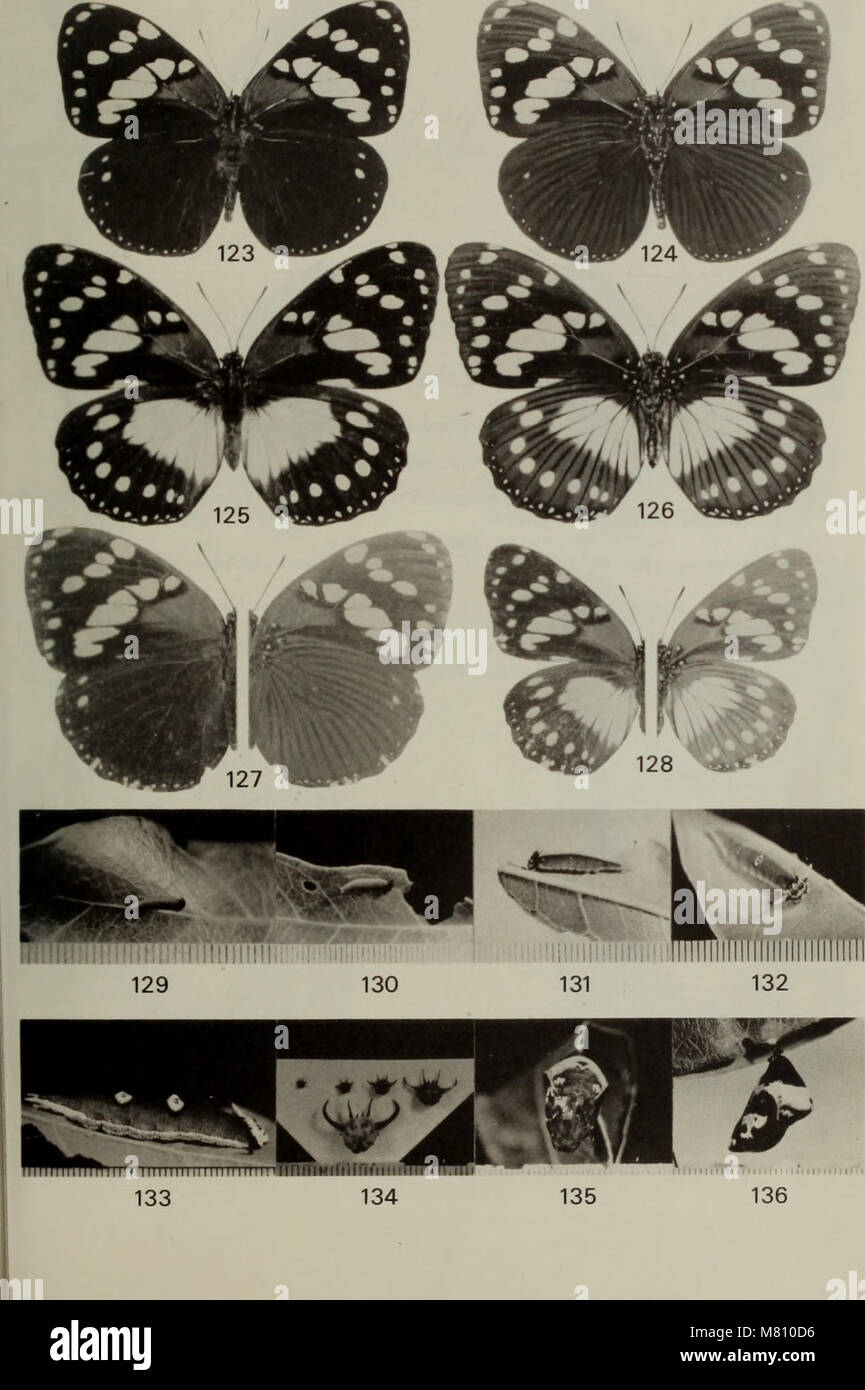 Bulletin of the British Museum (Natural History) Entomology (197576
