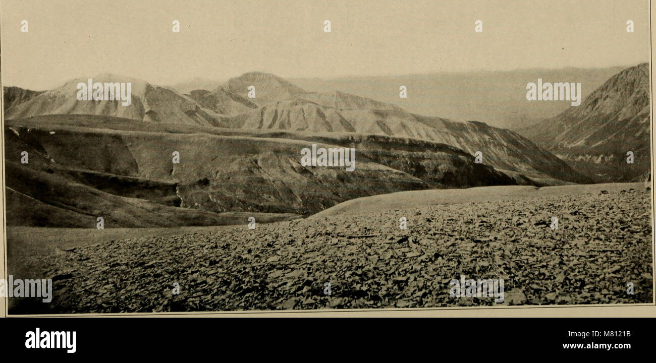 The Bulletin of the Geological Society of America (1903) is a ...