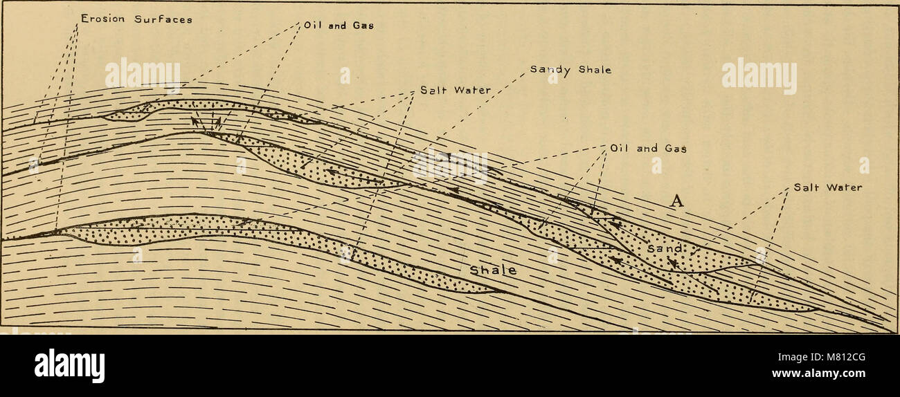 Bulletin of the Geological Society of America (1917) (20261428440 Stock ...