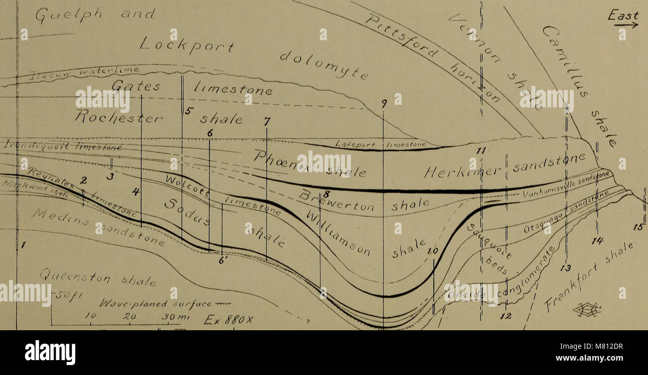 Bulletin of the Geological Society of America (1918) (19827466584 Stock ...
