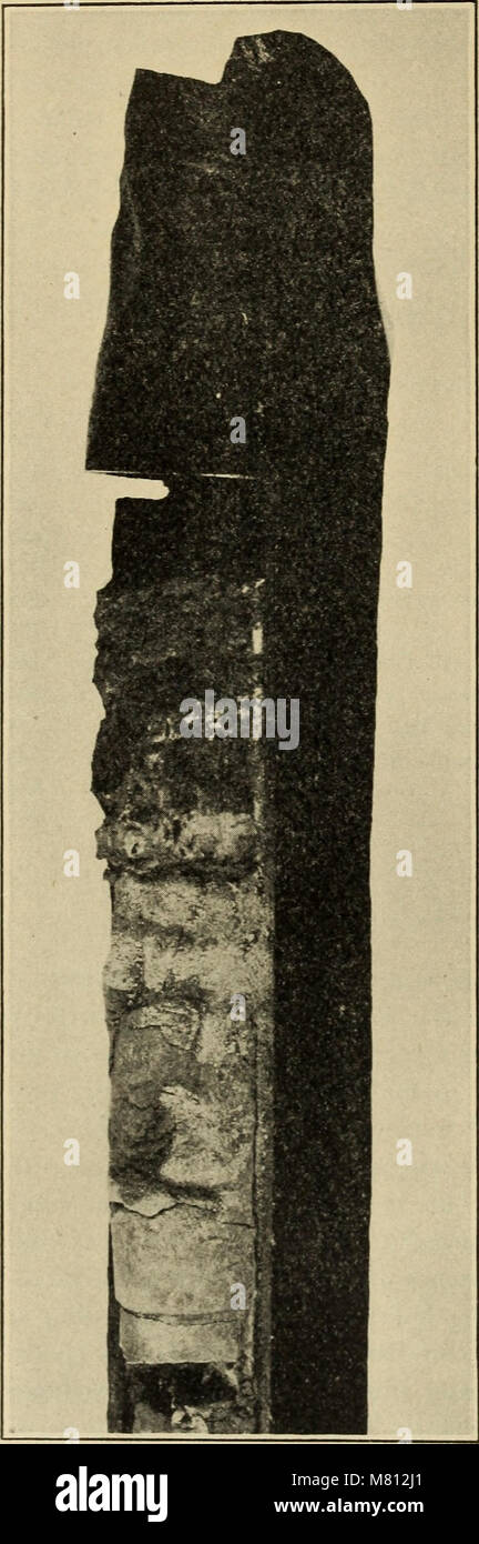 Bulletin of the Geological Society of America (1923) (14595182718 Stock ...
