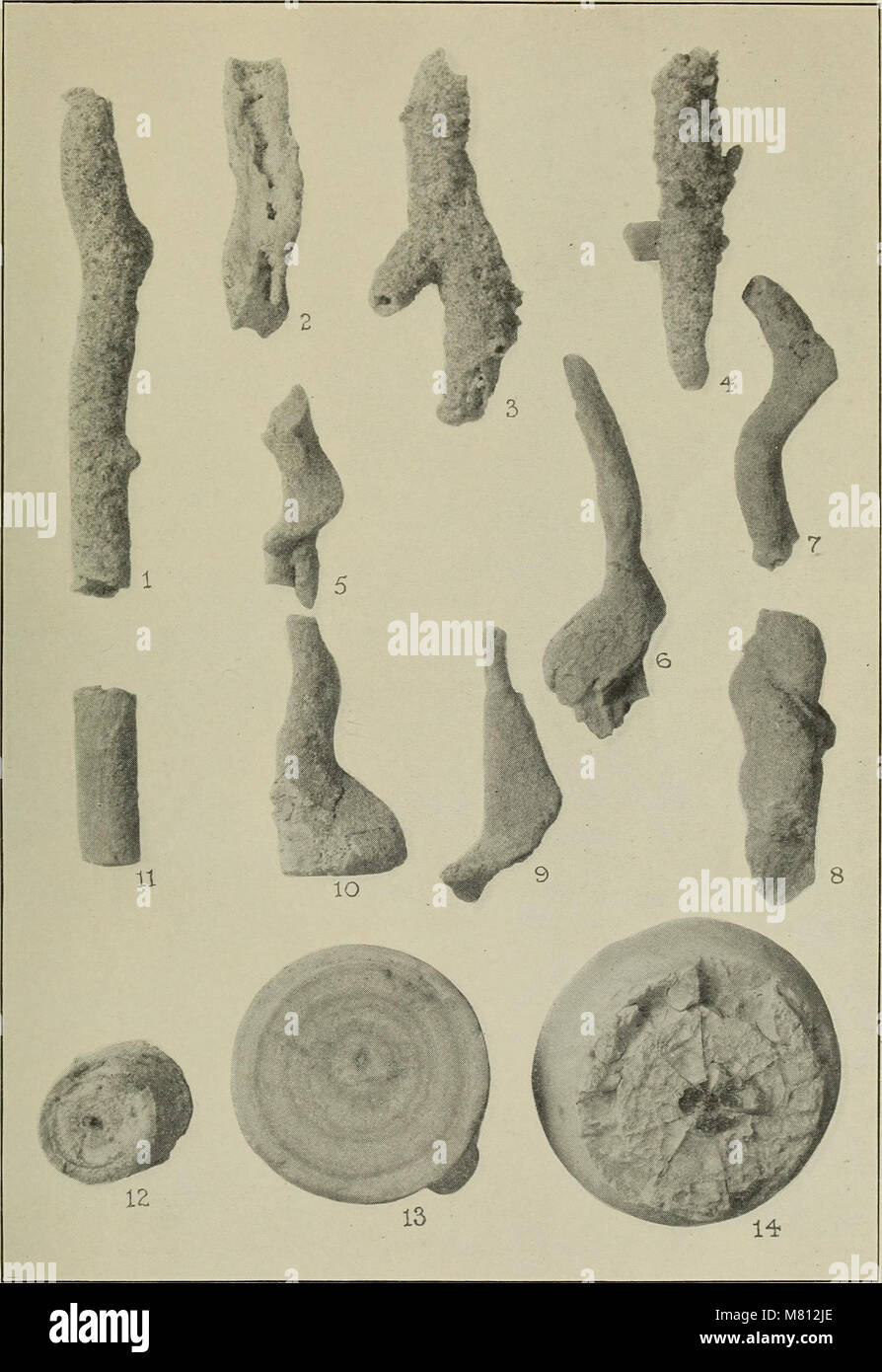 The 1923 Bulletin of the Geological Society of America contains ...