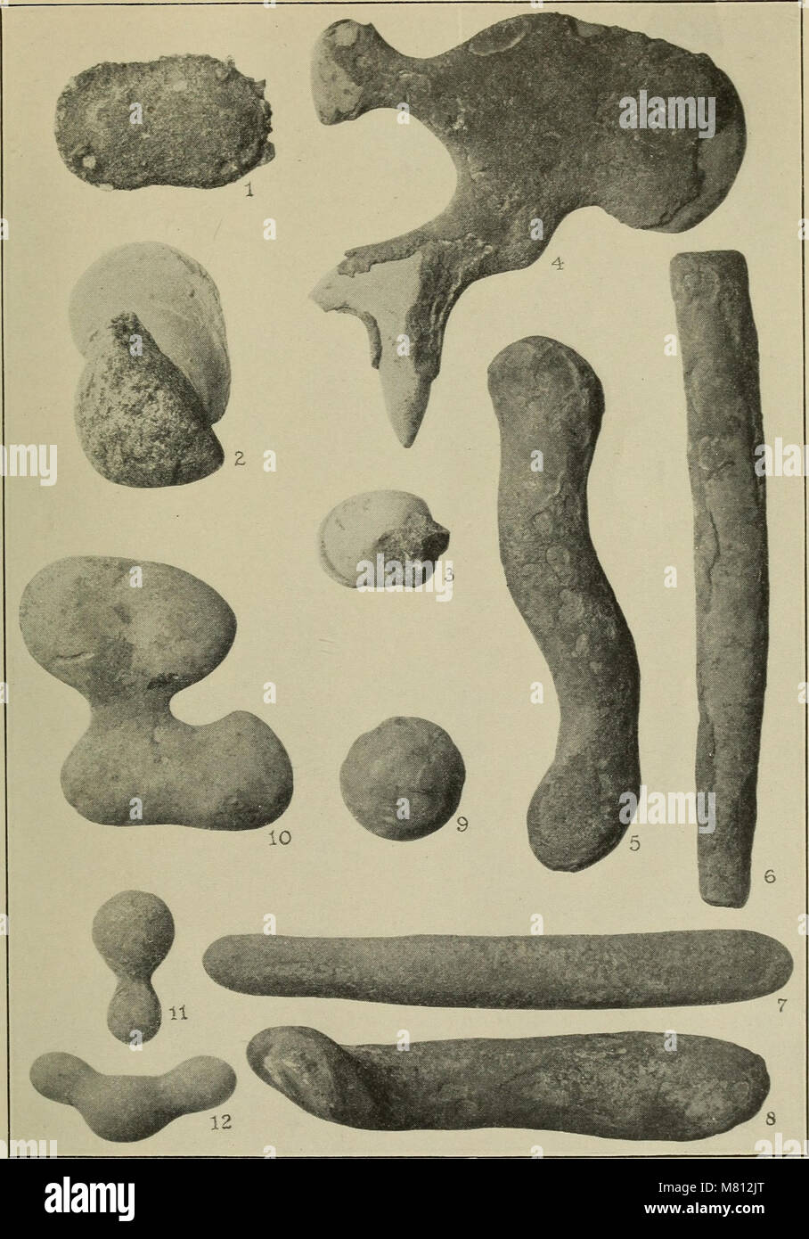 Bulletin of the Geological Society of America (1923) (14778744751 Stock ...