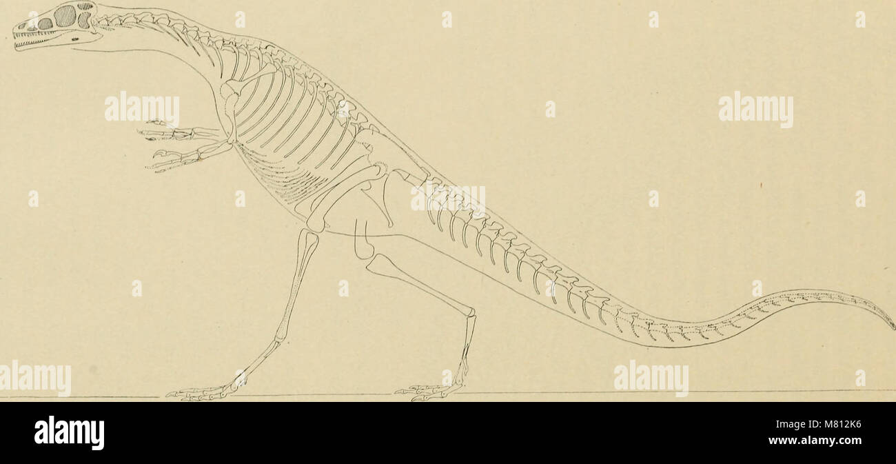 Bulletin of the Geological Society of America (1923) (14781831325 Stock ...