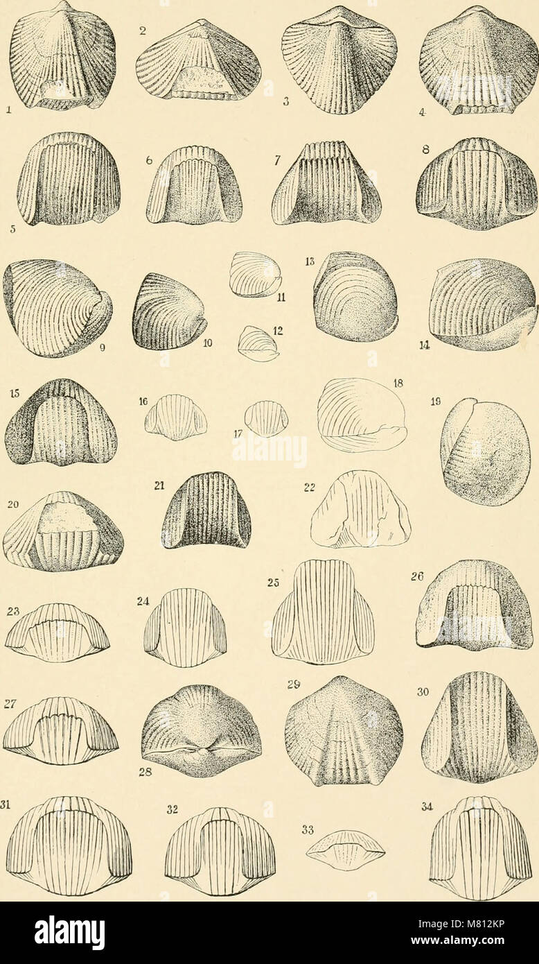 The Bulletin of the Geological Society of America publishes peer ...