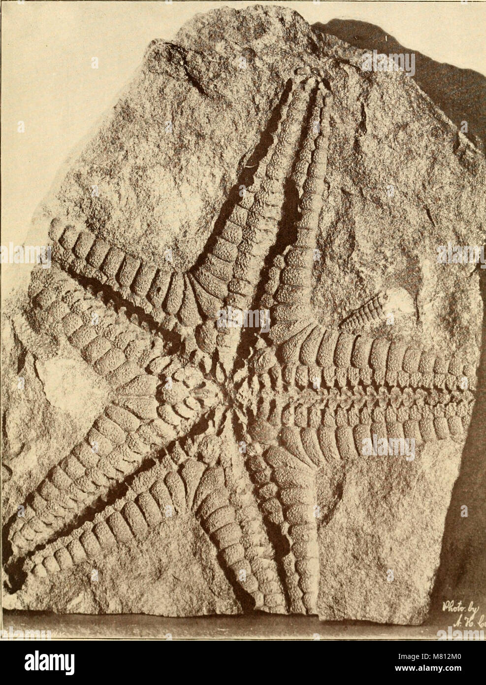 Bulletin of the geological society hi-res stock photography and images ...