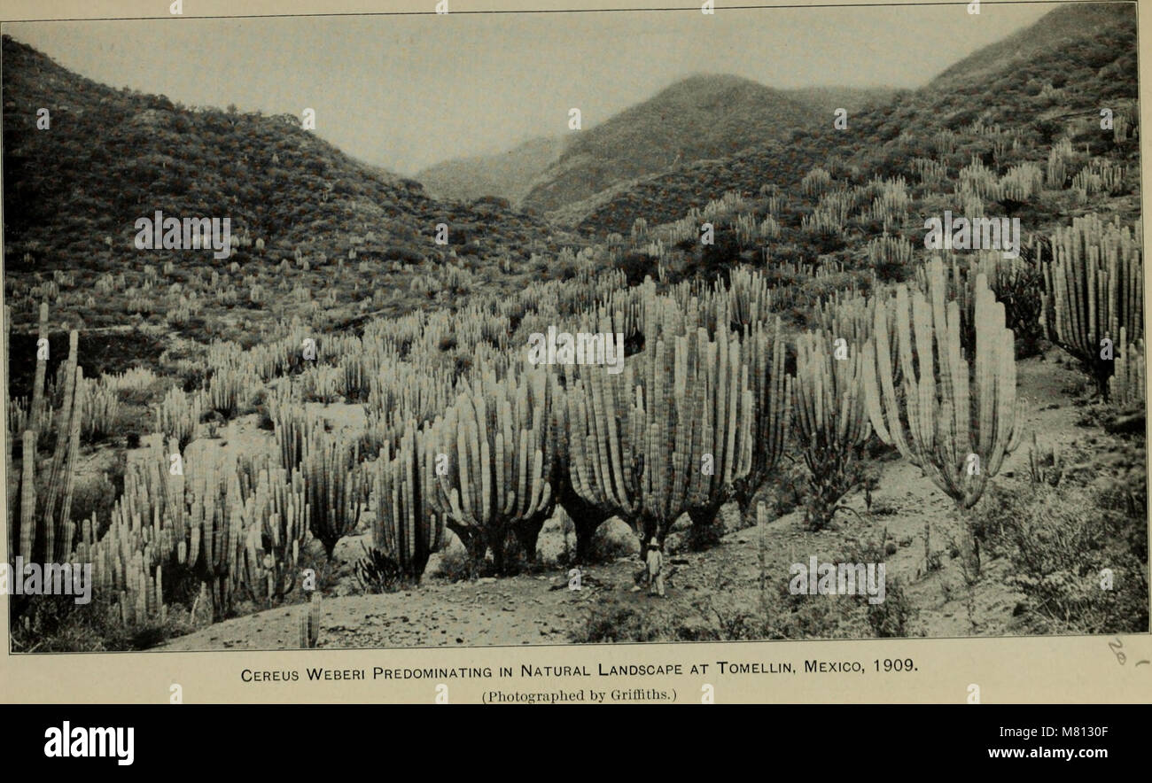 This bulletin, spanning from 1901 to 1913, provides information on ...