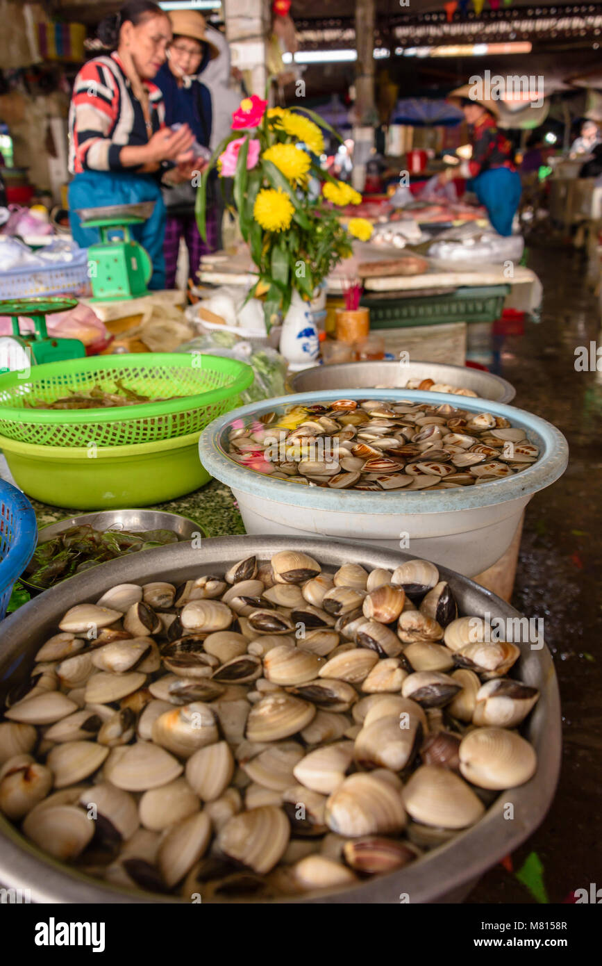 Clams and other shellfish for sale at the indoor market in Hoi An ...