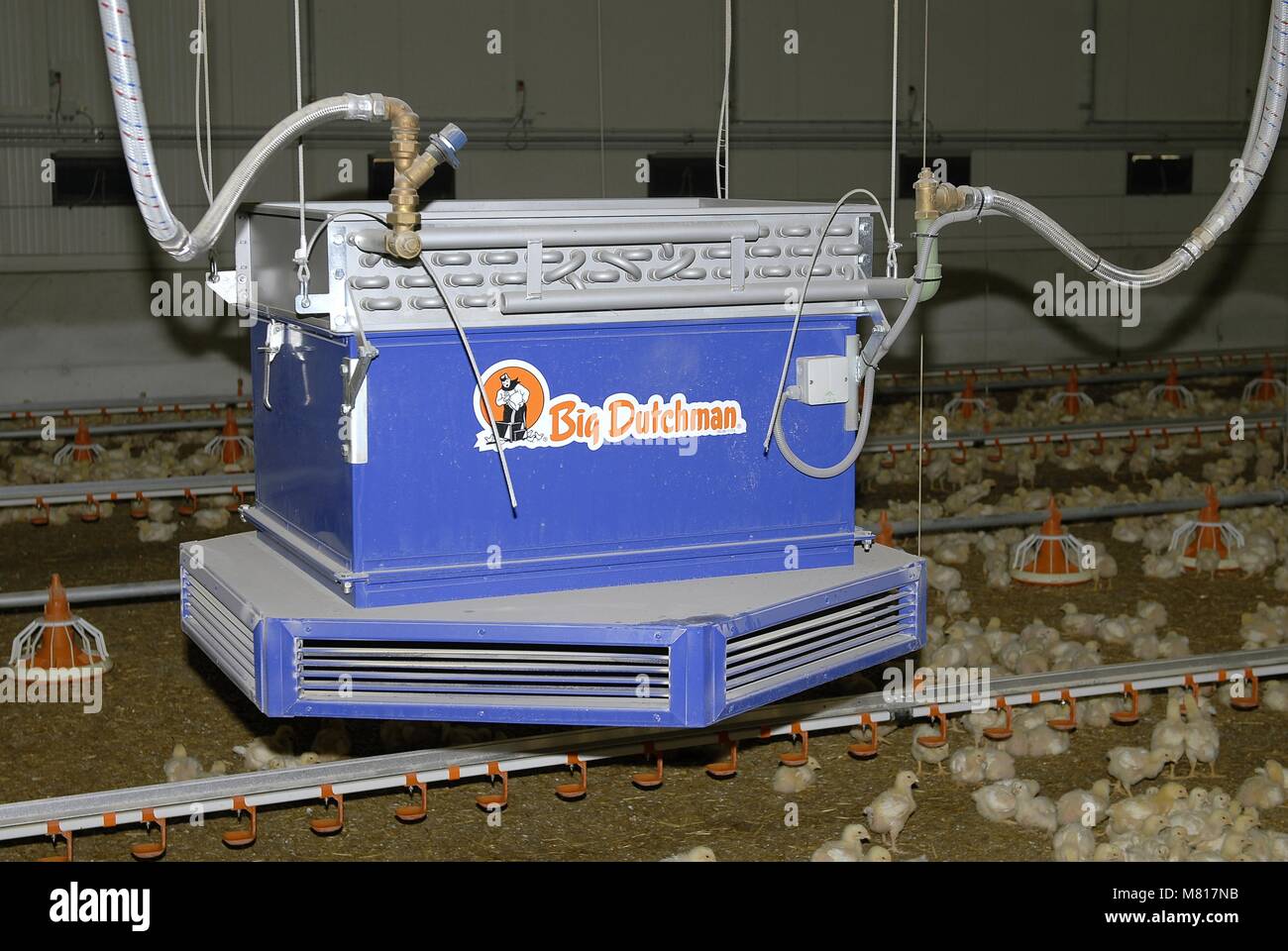 Broiler stable hires stock photography and images Alamy