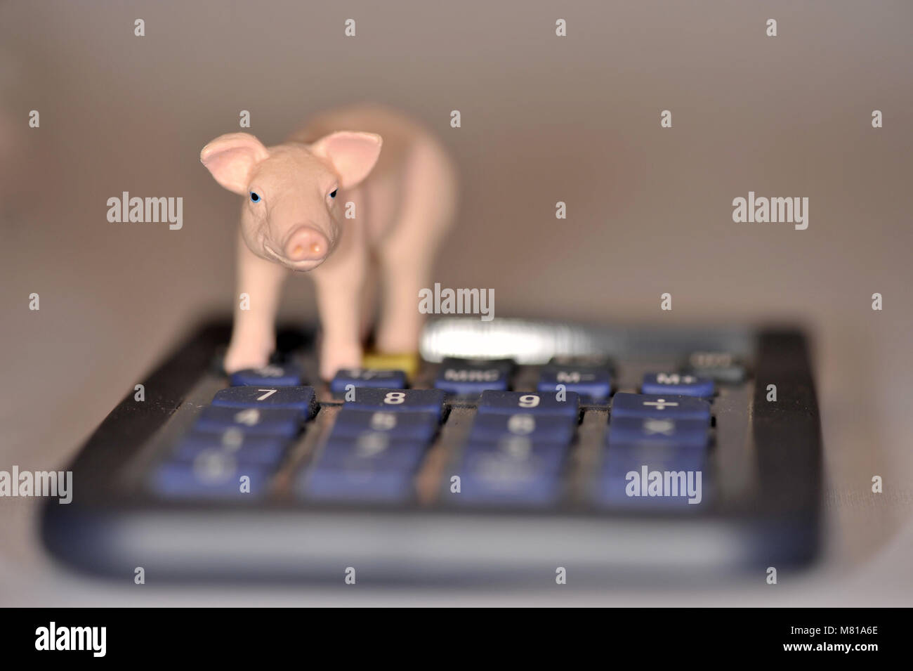 Finances pig 24 Stock Photo