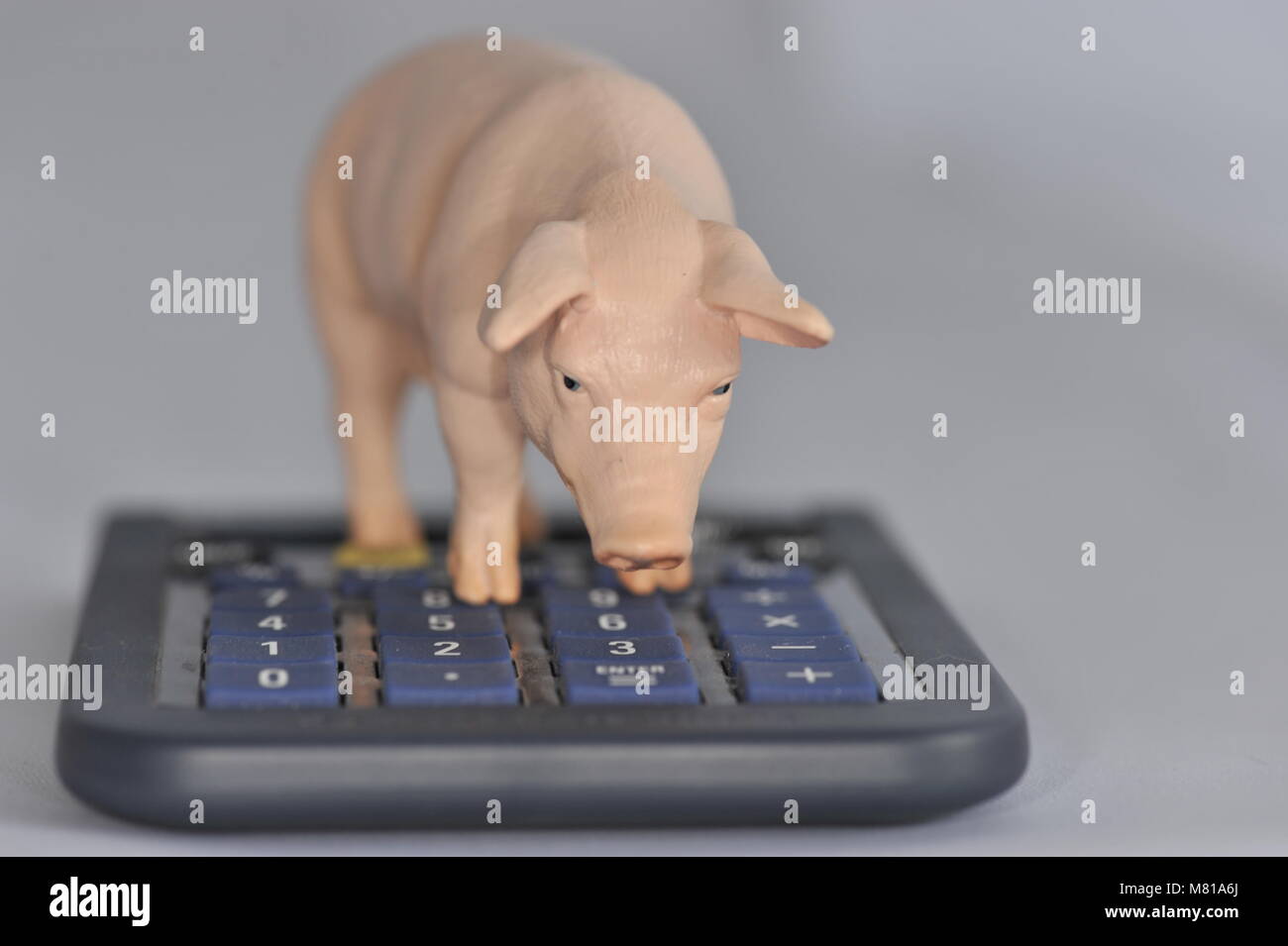 Finances pig 3 Stock Photo