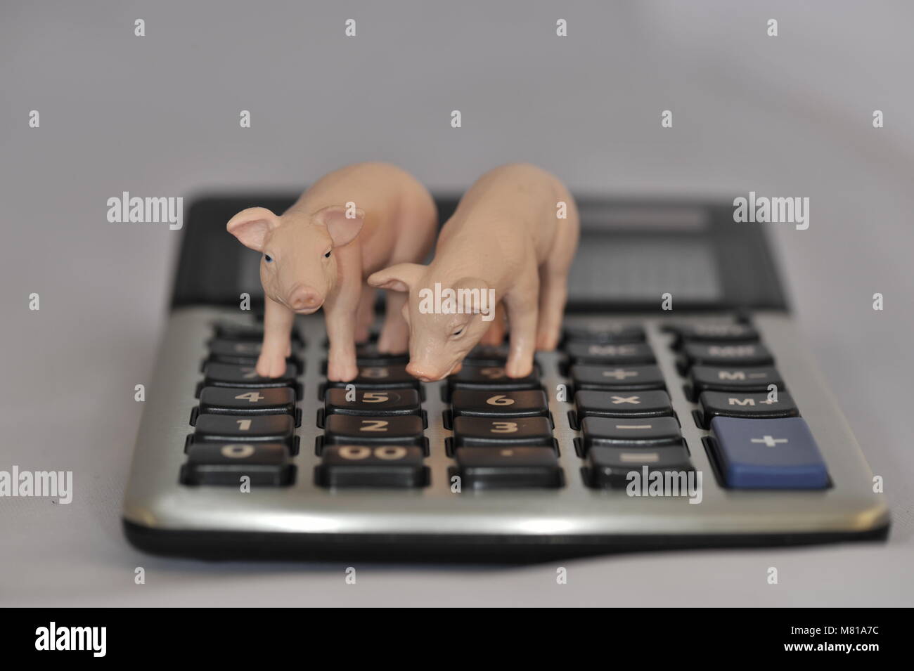 Finances pig 5 Stock Photo