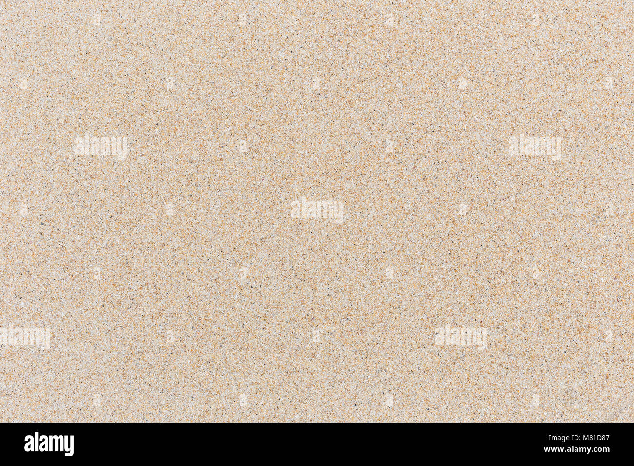 Abstract bright sand texture on the beach for background use Stock ...