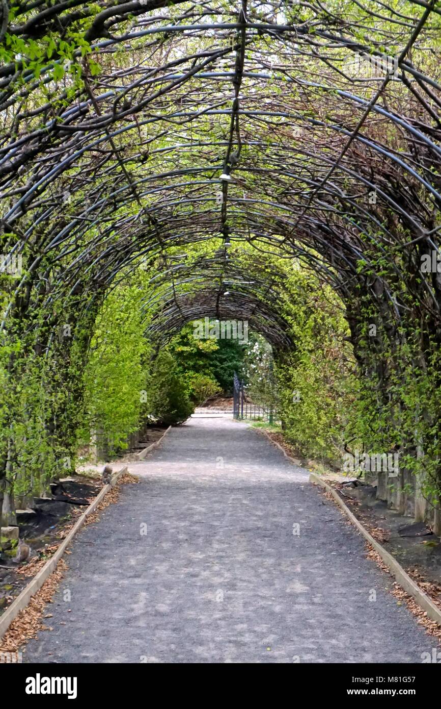 an arbor at the snug harbor cultural center and botanical garden on staten island - Staten Island Botanical Garden an arbor at the snug harbor cultural center and botanical garden on staten island - Staten Island Botanical Garden