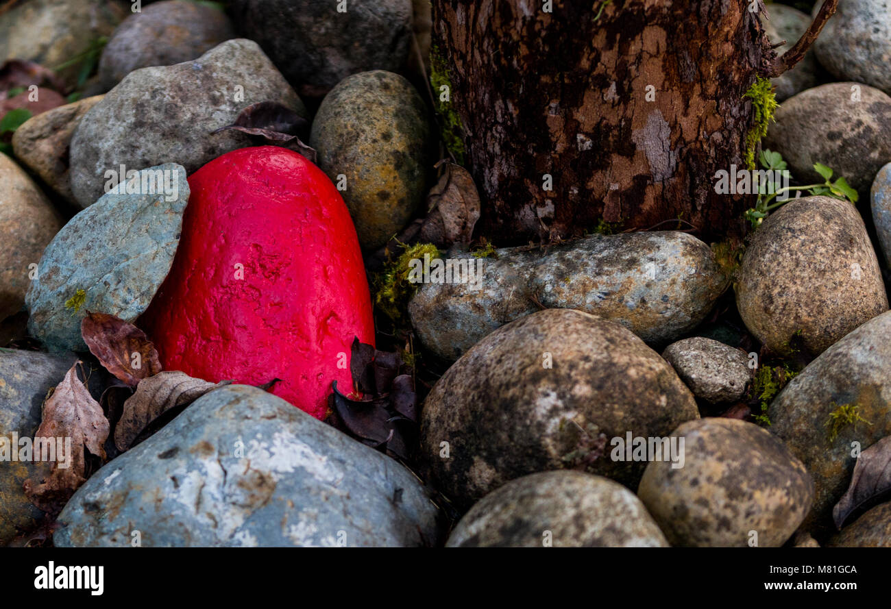 Pile of rocks with 1 painted red next to a tree trunk with bark Stock Photo