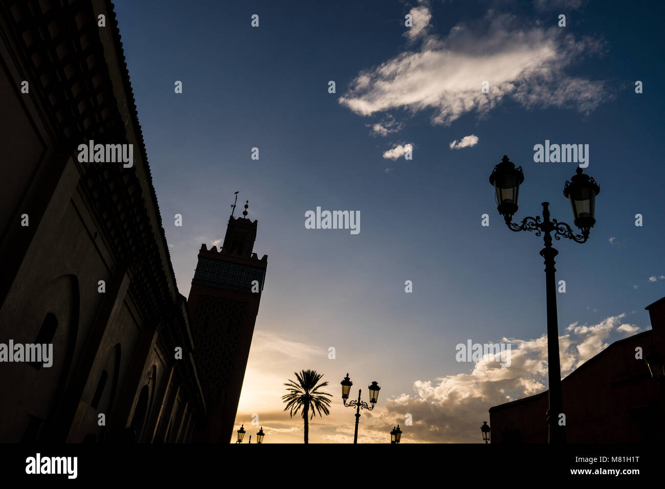 Silhouette of palm tree and street candelabra lights during the sunset in Marrakesh, Morocco Stock Photo