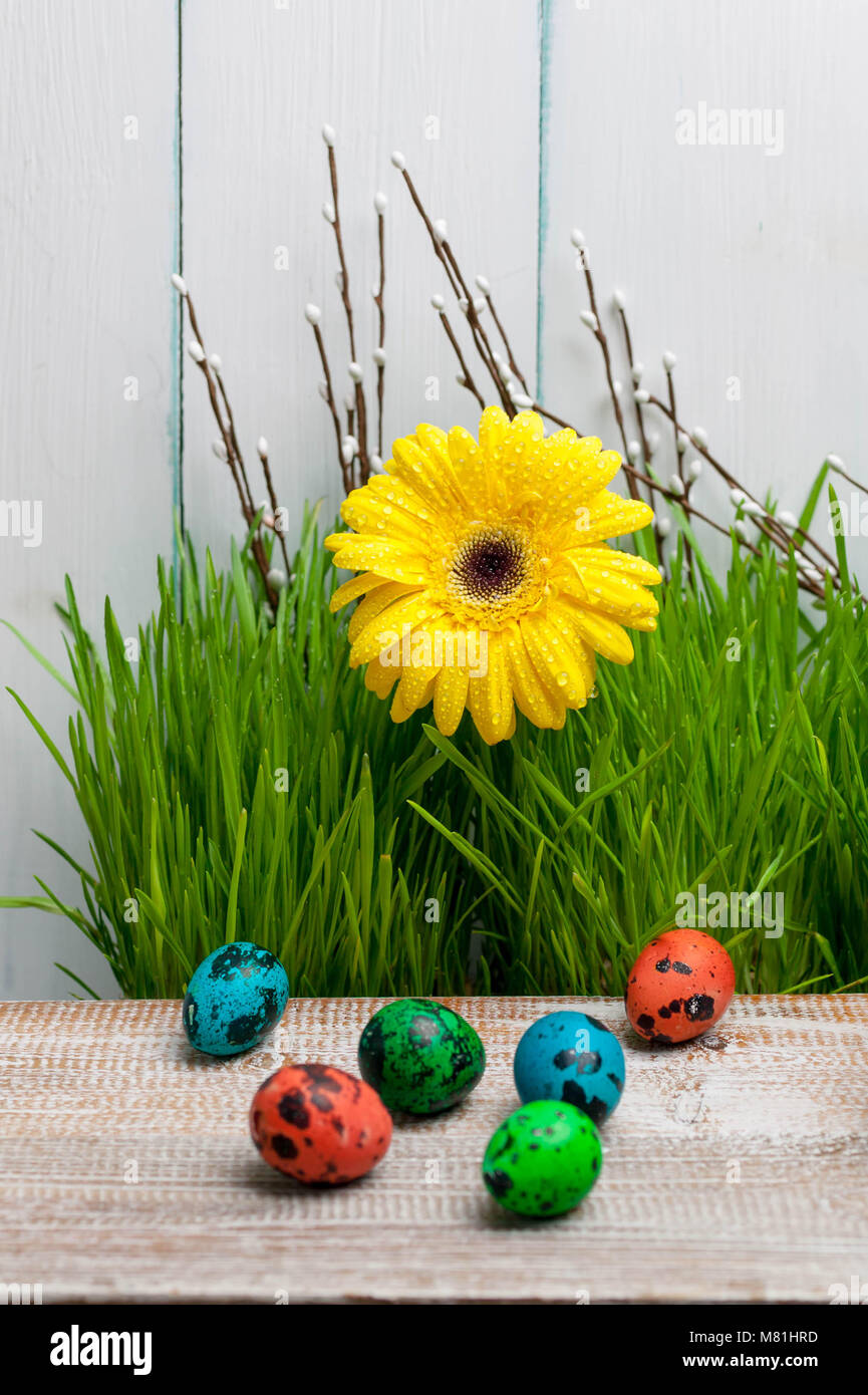 Multi-colored eggs and spring green grass on a light wooden background. Easter concept. Vertical photo Stock Photo