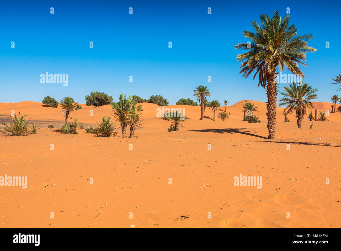 Sand Dunes of Erg Chebbi int he Sahara Desert, Morocco Stock Photo - Alamy