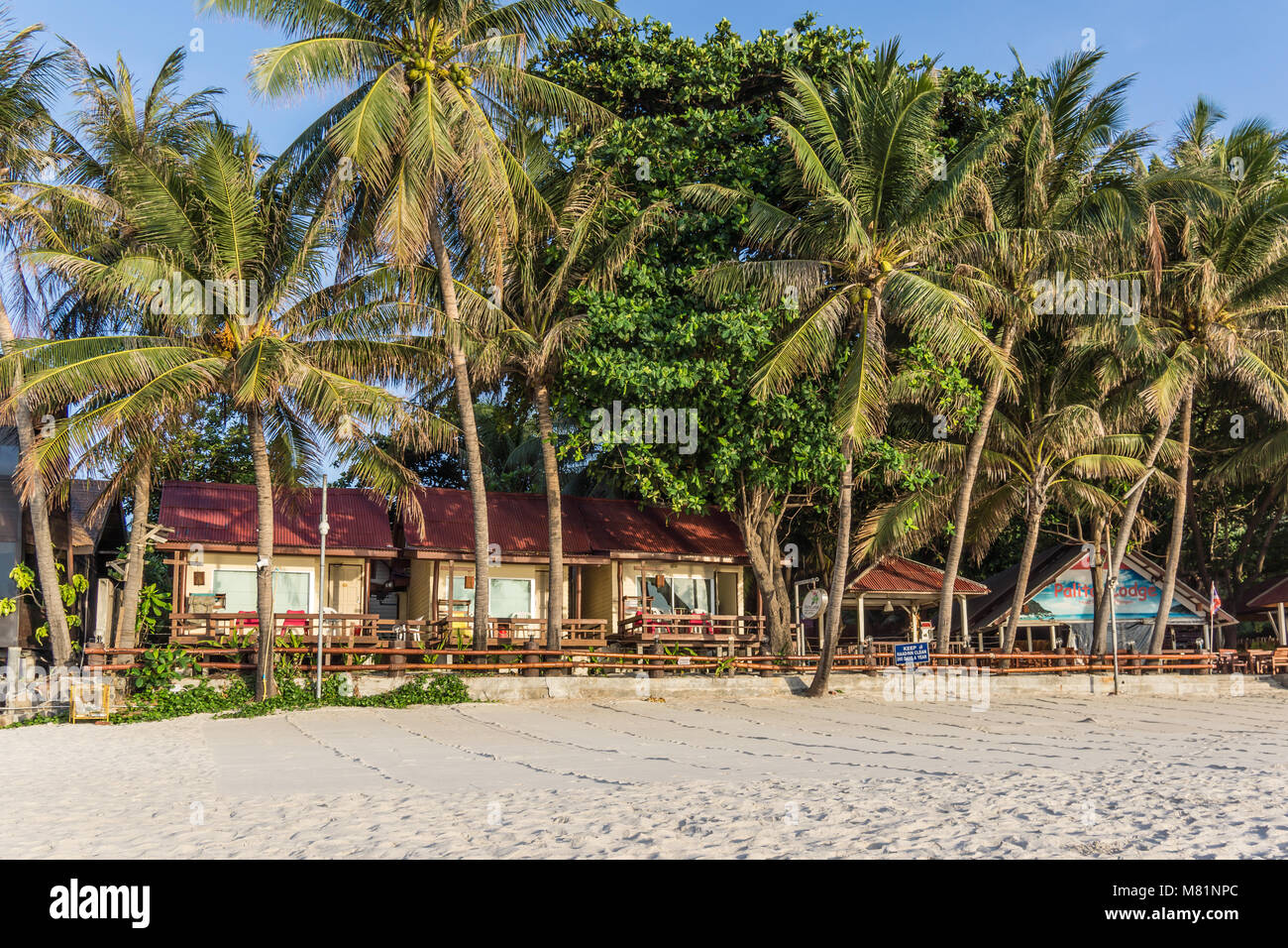 Tropical beachfront bungalows with palms, Palita Lodge, Haad Rin, Koh Pangan, Thailand, May 06, 2016, Stock Photo