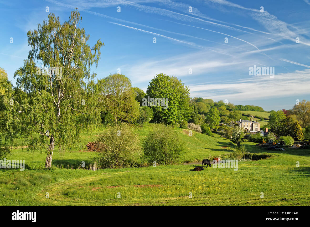 house crewkerne hires stock photography and images Alamy