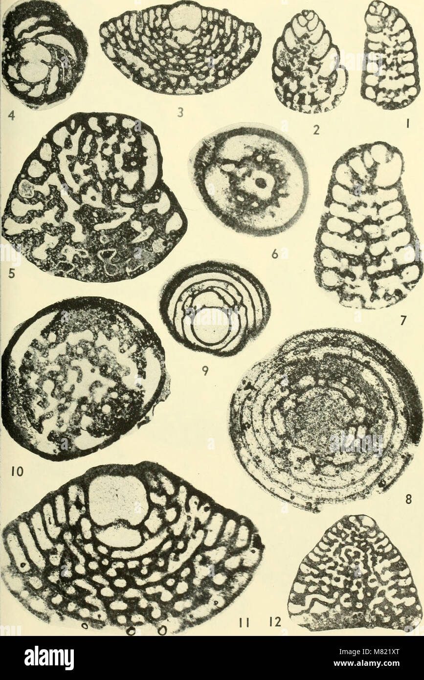 The 1964 Bulletins of American Paleontology includes research and ...