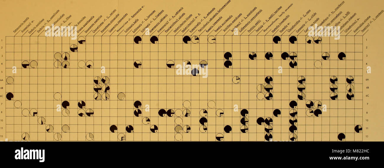 Bulletins of American paleontology (1981) (20508657571 Stock Photo Alamy