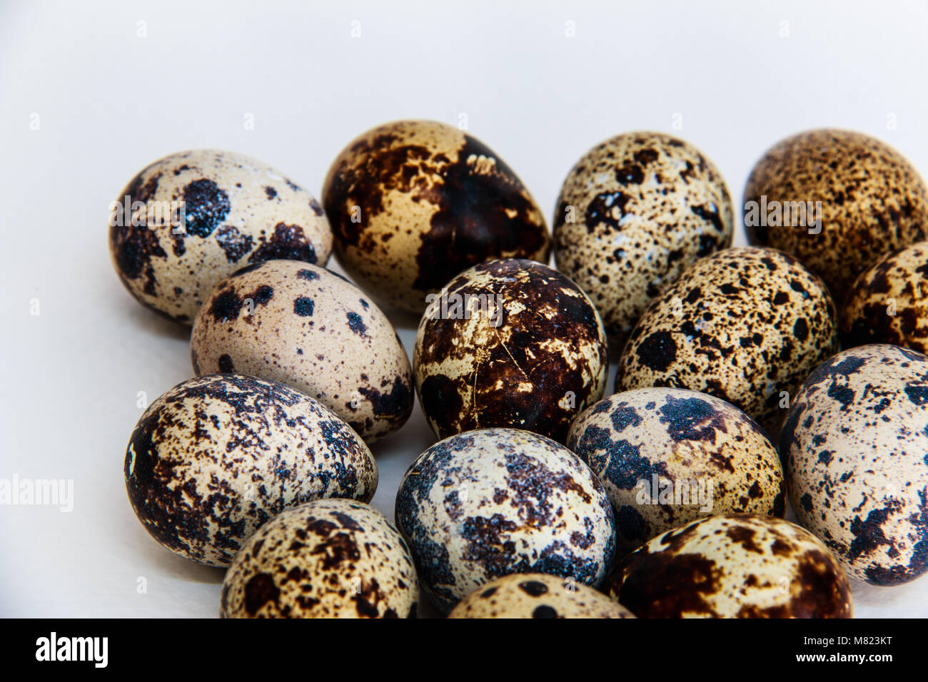 Quail eggs  isolated on white background Stock Photo