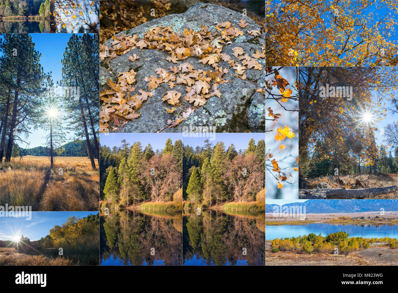 Photo Collage. Autumn season and beauty in nature concept. Stock Photo