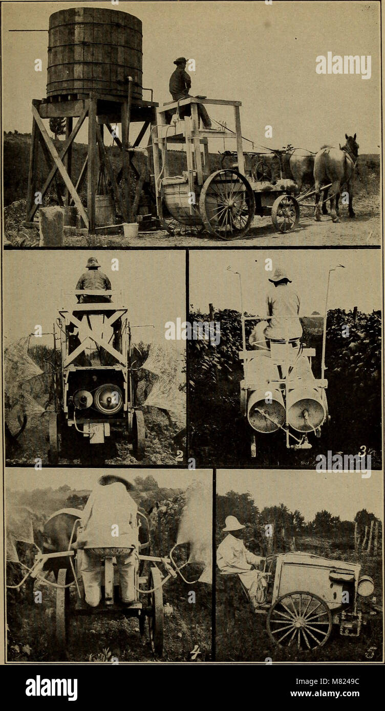 The *Bulletin* (1910) presents an annual summary of key findings, news ...