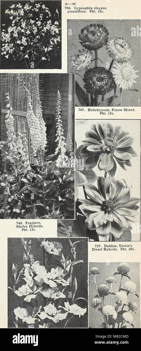 This 1958 seed catalog features a range of plant seeds for gardeners