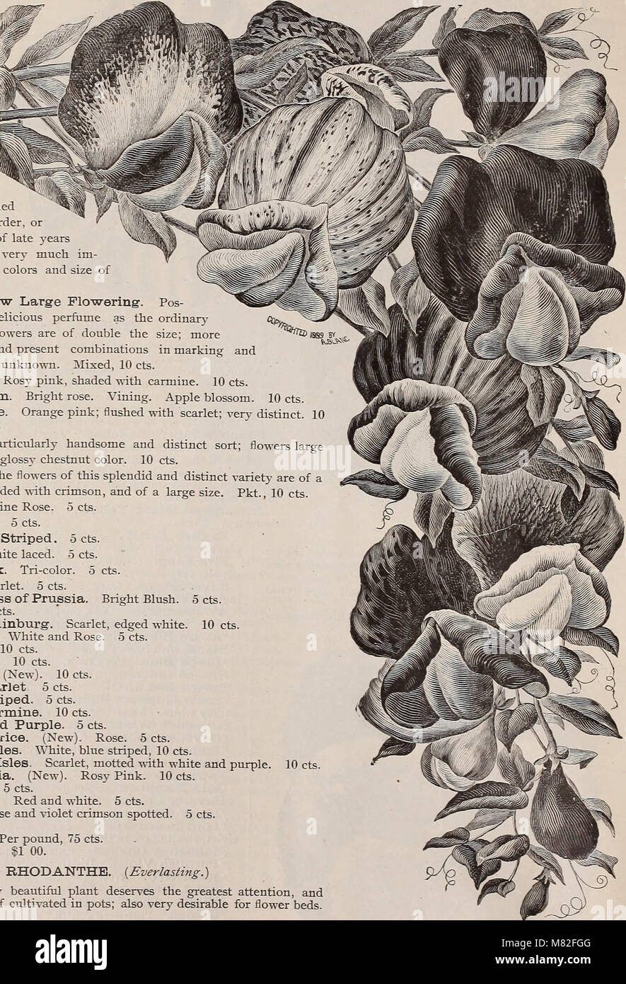 Seedsman hires stock photography and images Alamy