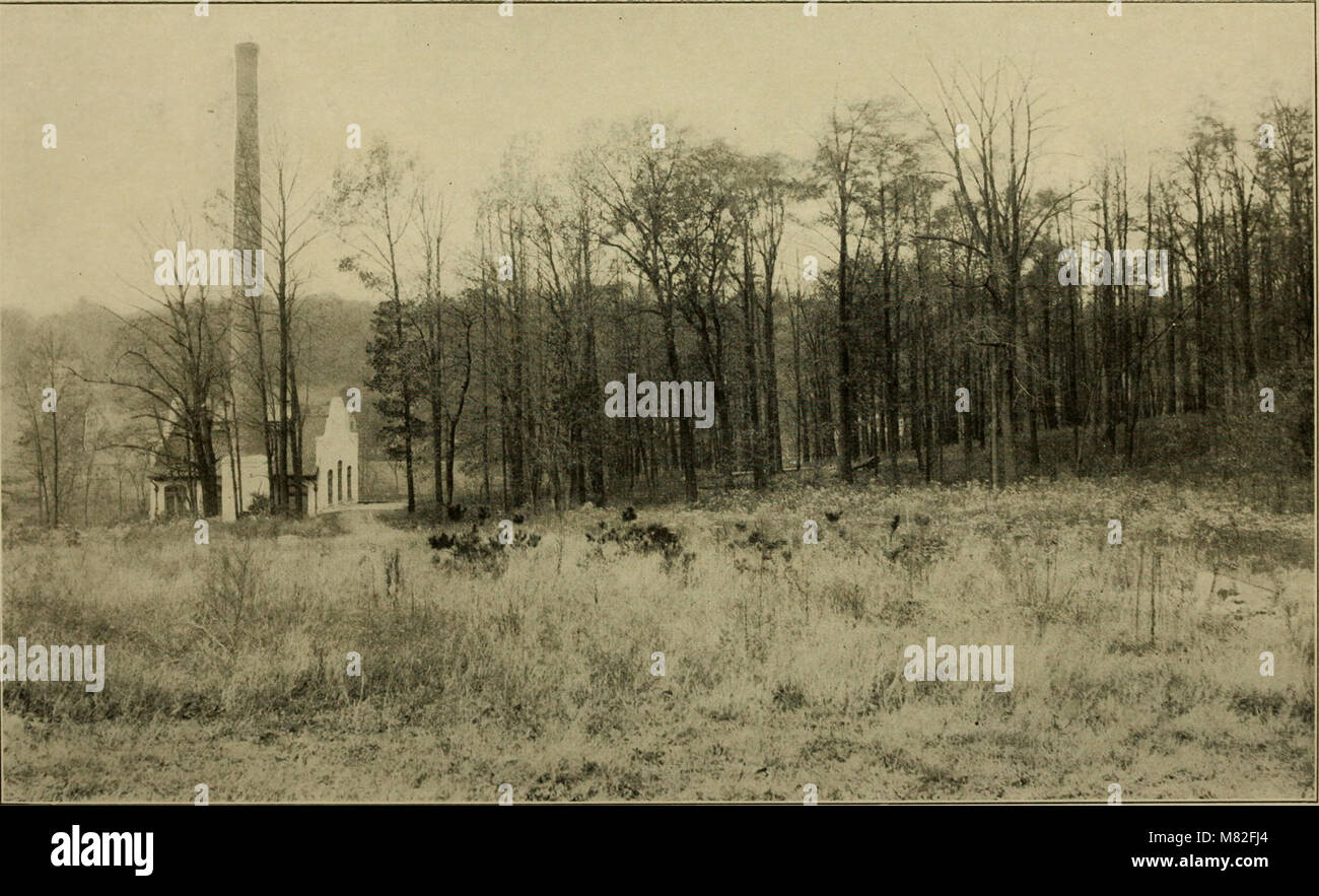The 1910 catalogue and circular from the New Jersey State Normal School