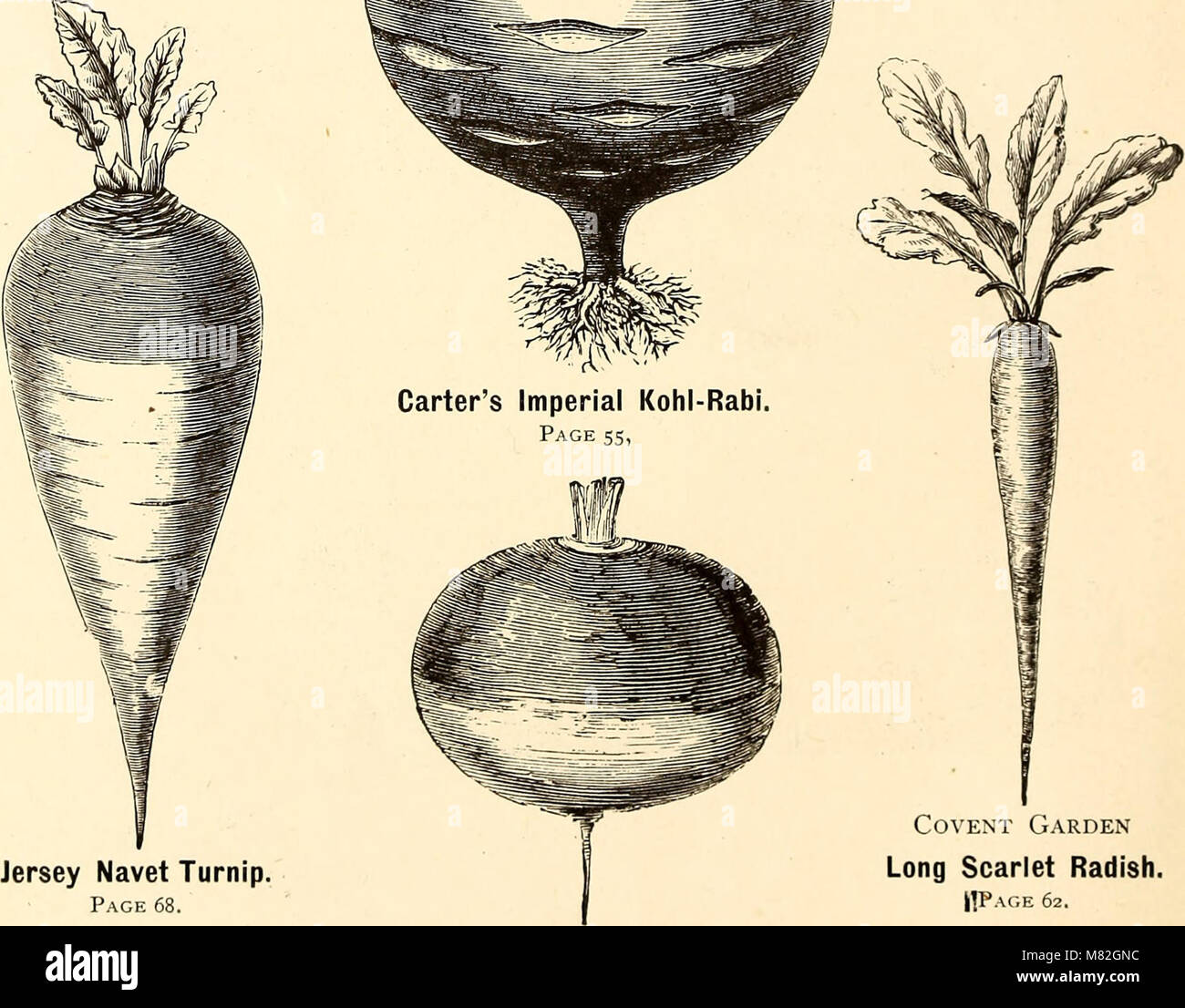 The 1872 catalog lists various flower and vegetable seeds, including