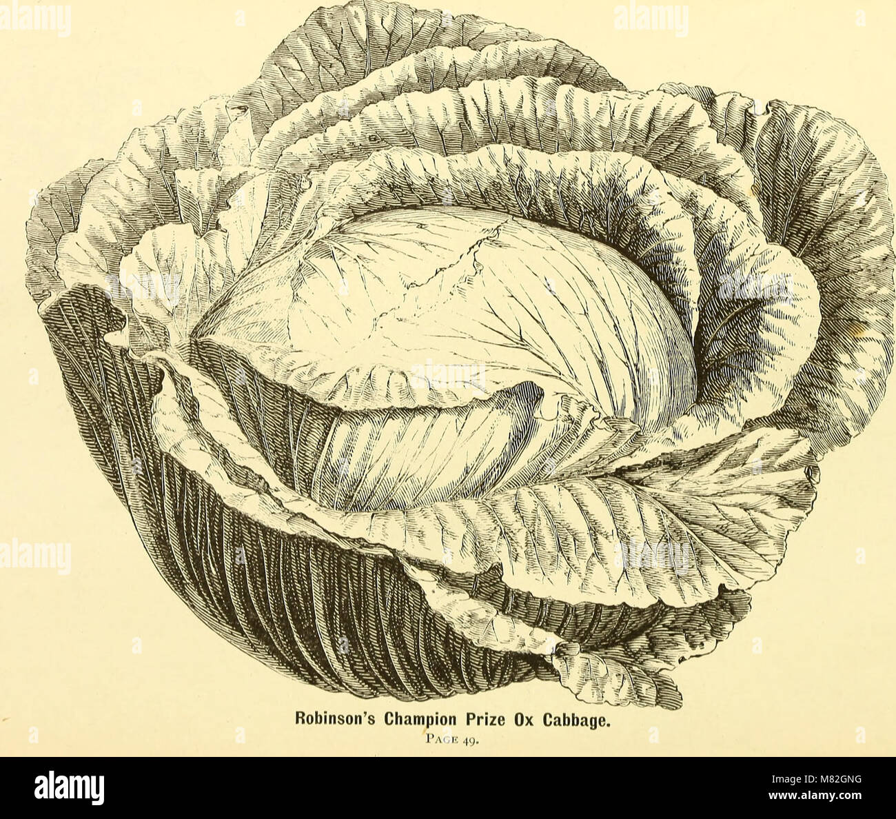 The 1872 catalog provides a comprehensive list of flower and vegetable