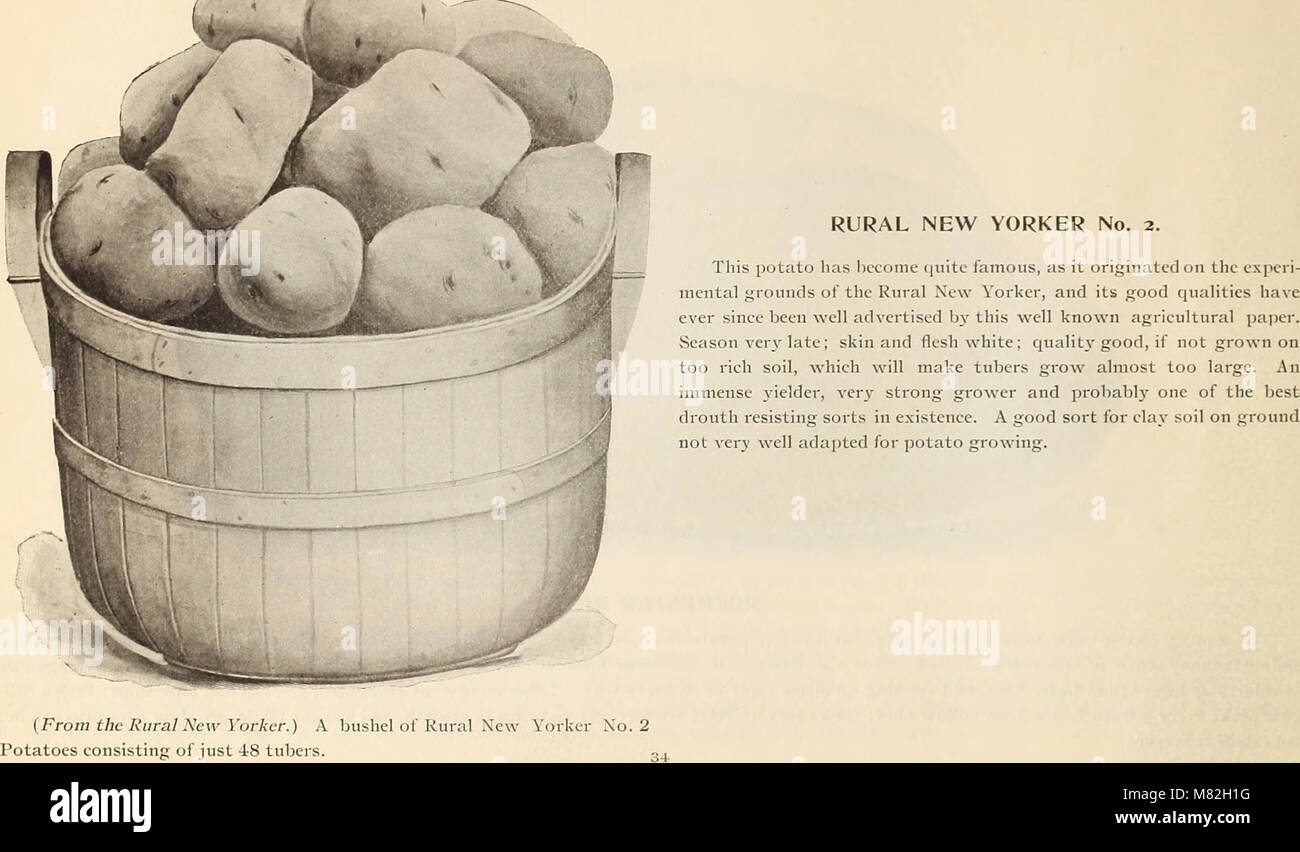 This catalog from 1895 provides a comprehensive list of seed potatoes