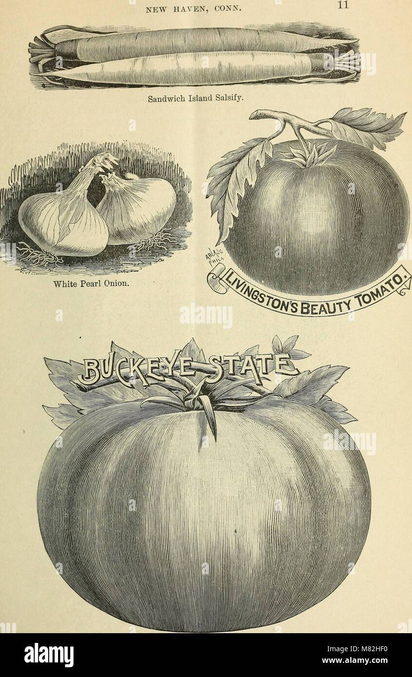 This 1896 catalog provides a comprehensive listing of seeds and plants