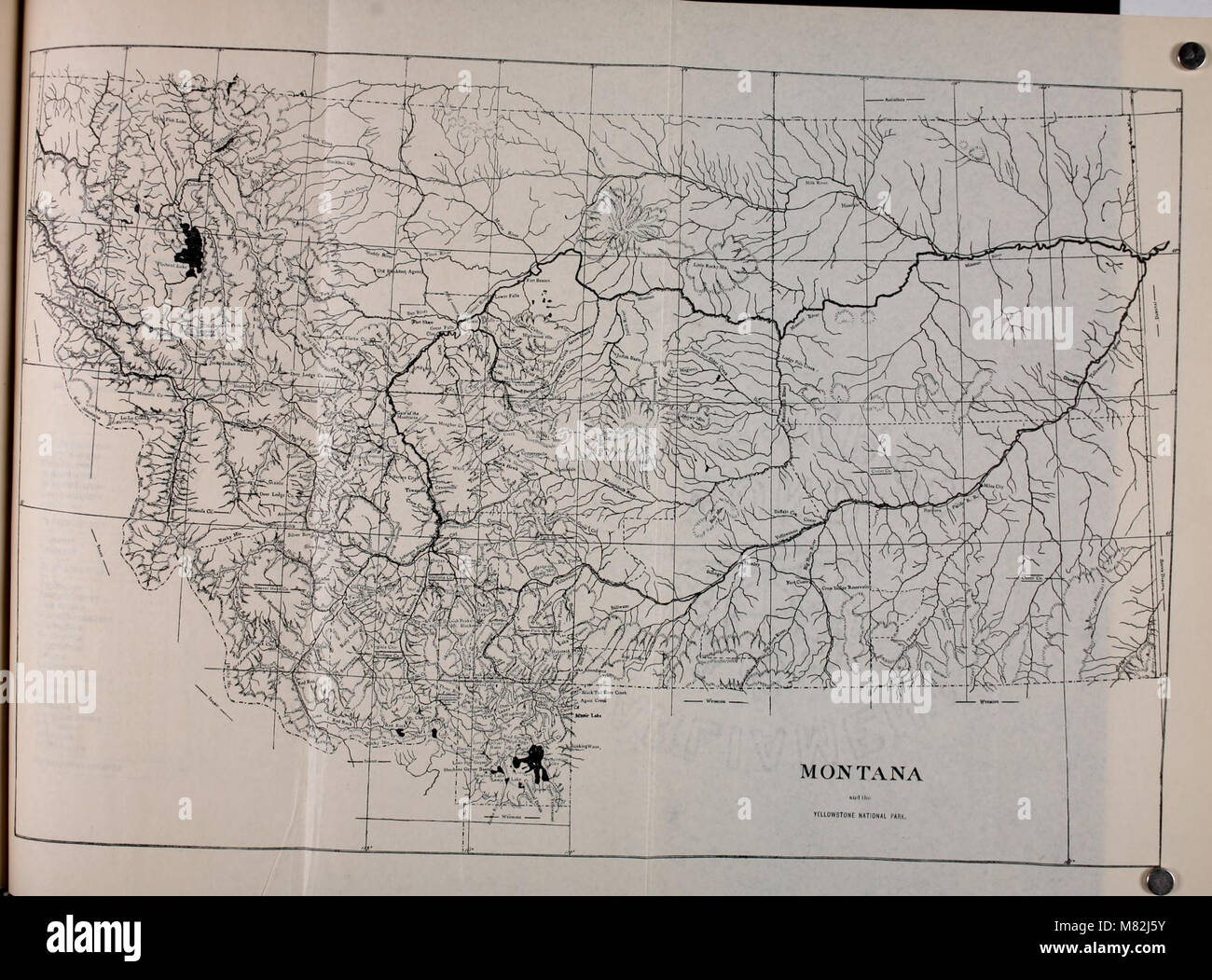 Catalogue of the flora of Montana and the Yellowstone National Park