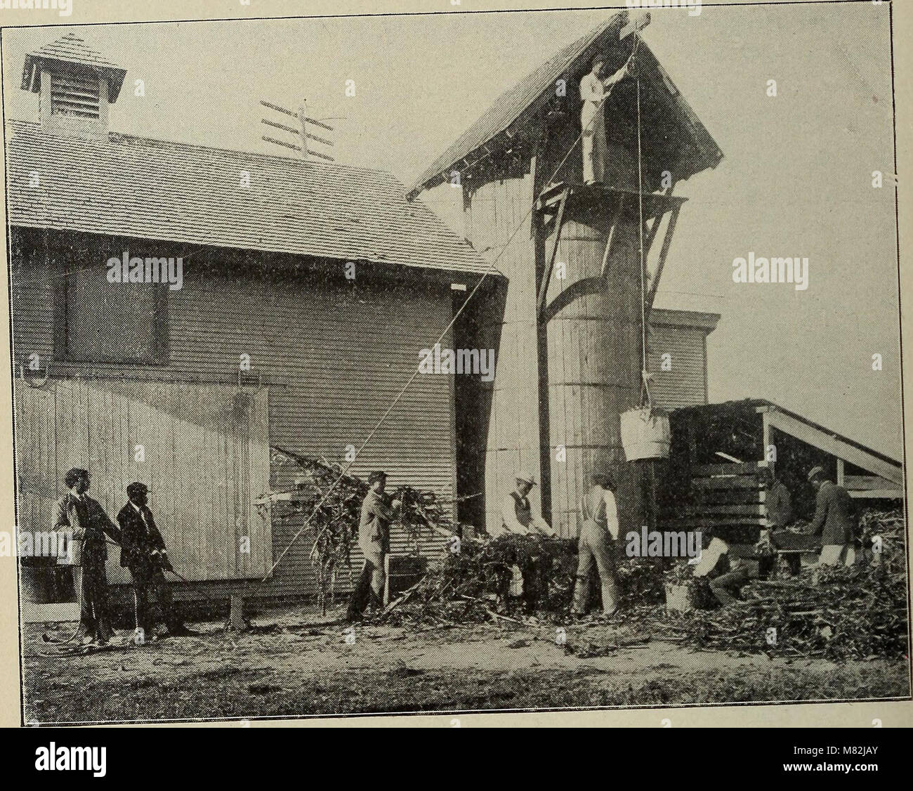 This 1896 catalog provides detailed information about the Hampton