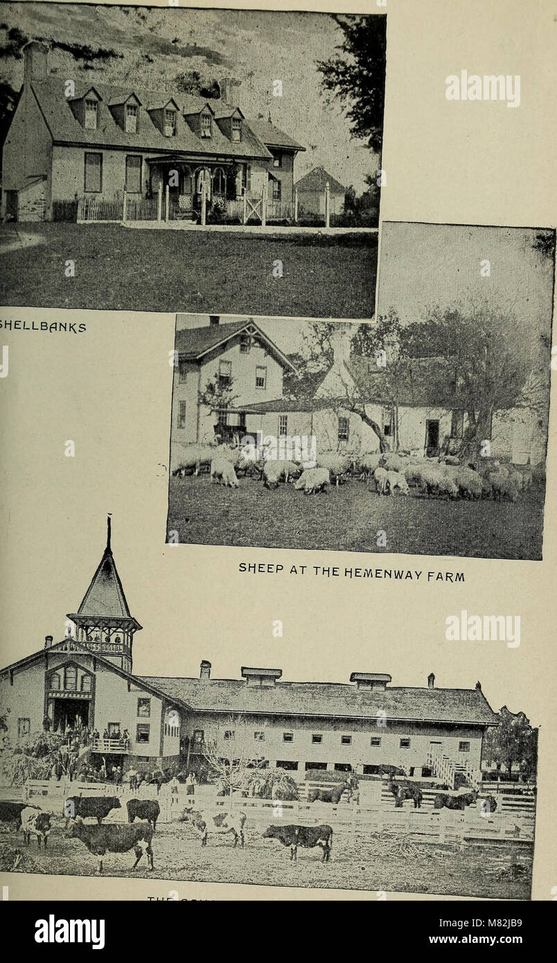 This 1896 catalog provides detailed information about the Hampton