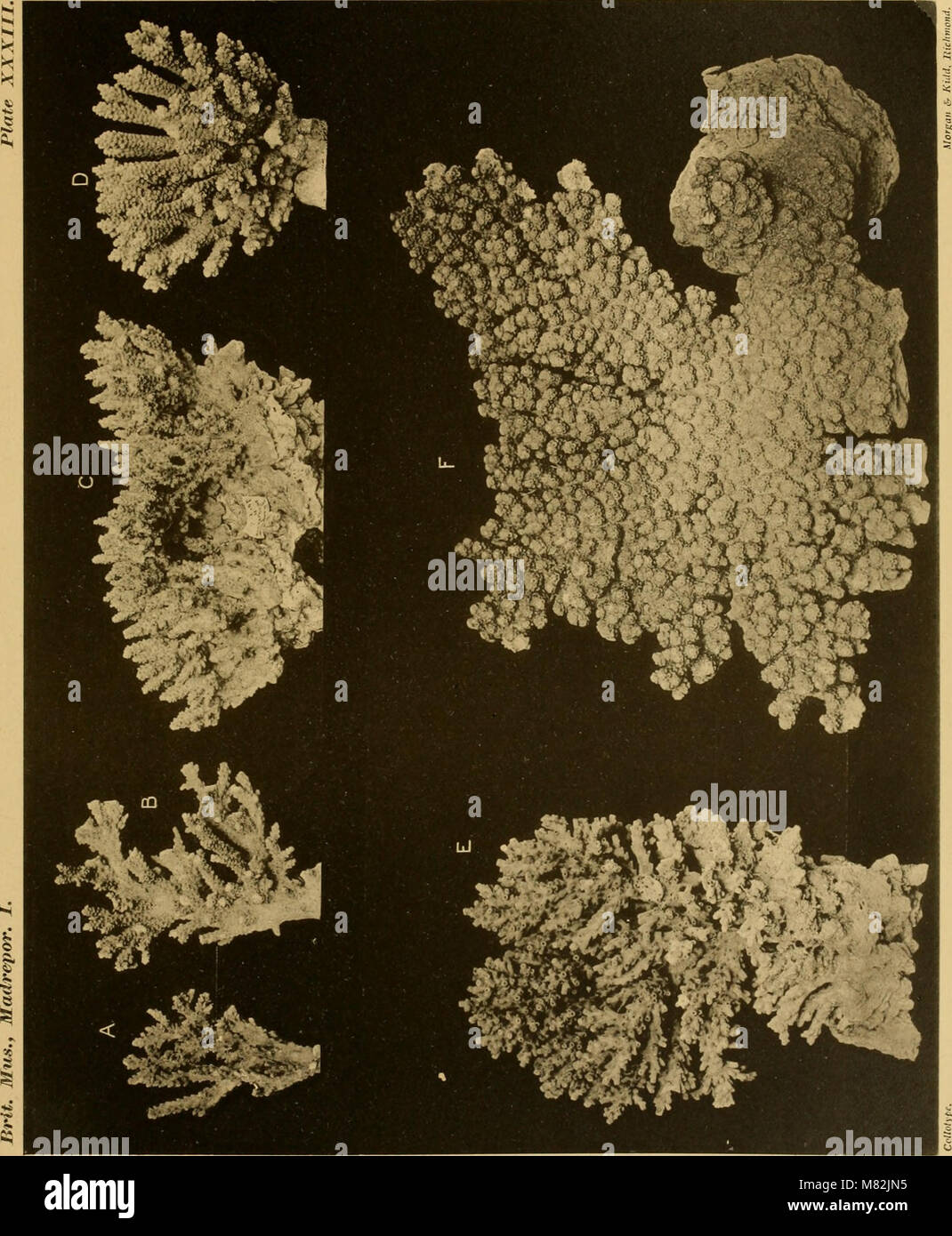 This 1893 catalogue presents a comprehensive collection of