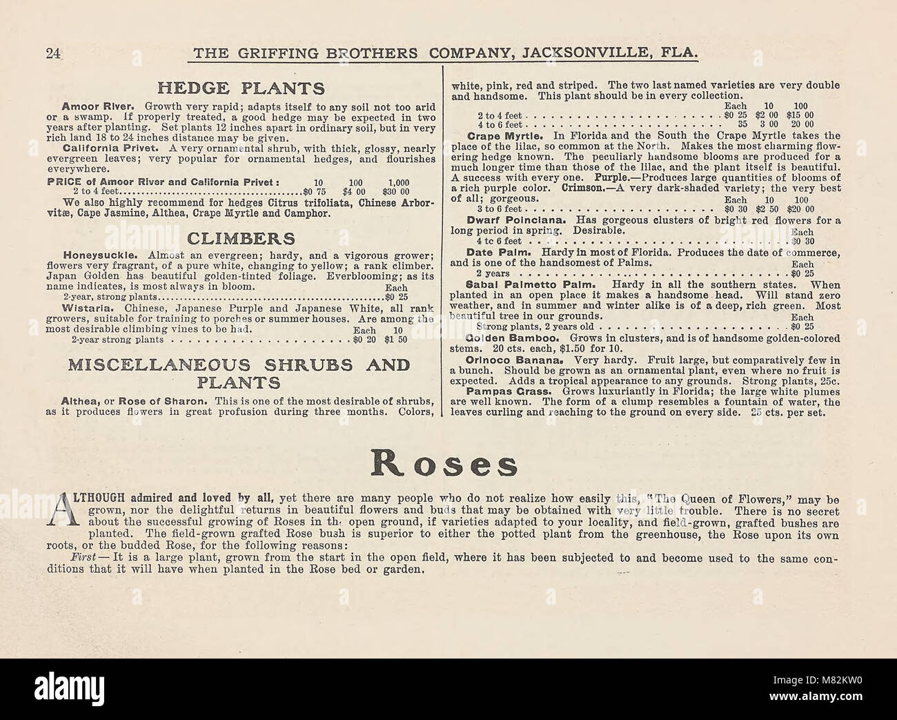 This catalog from the 1800s provides a collection of items for sale