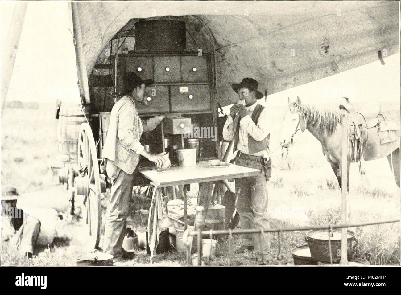 Cattle ranch to college hi-res stock photography and images - Alamy