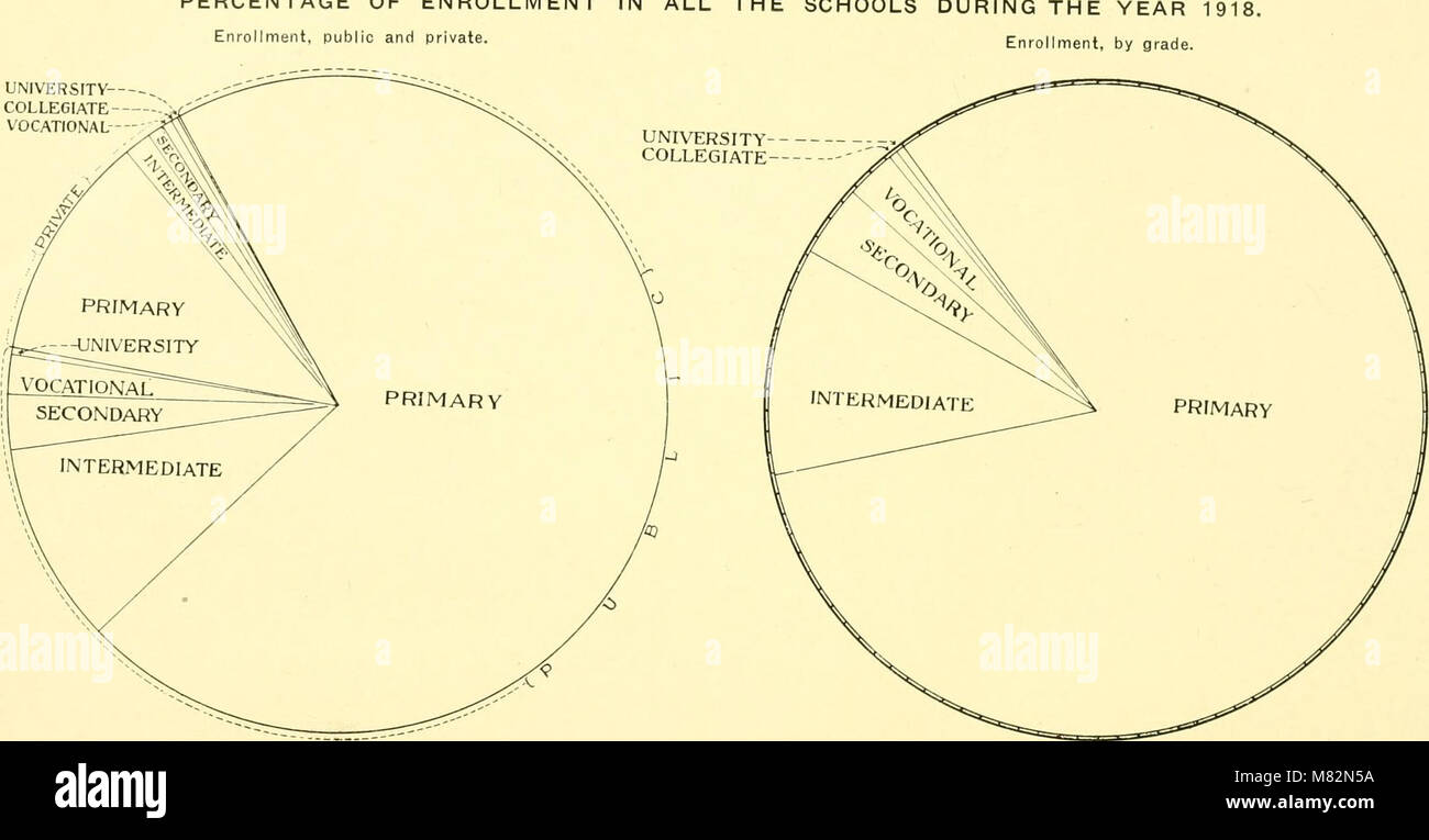 Census of the Philippine Islands taken under the direction of the