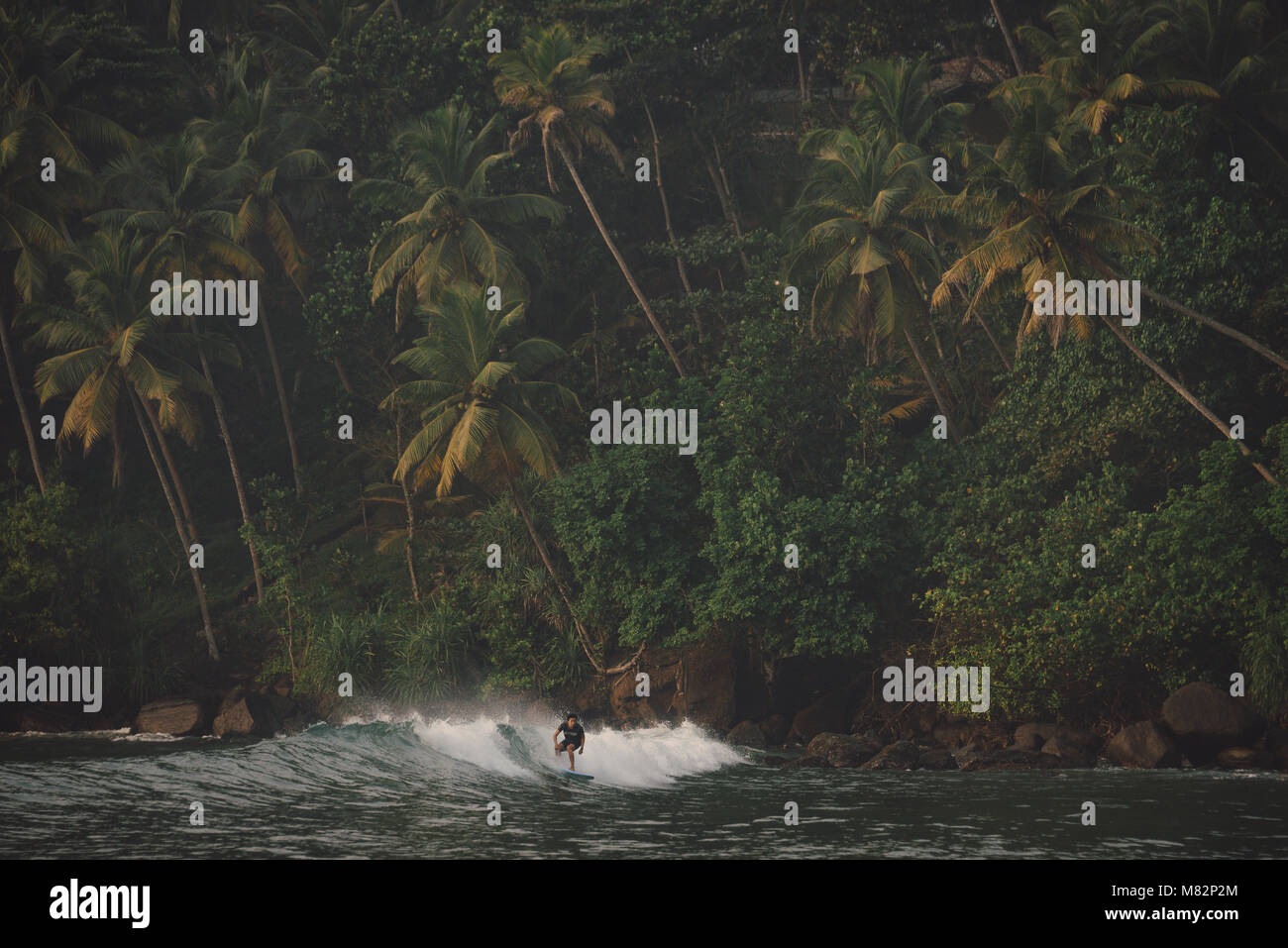 Morning surfer at Marissa beach in Sri Lanka Stock Photo