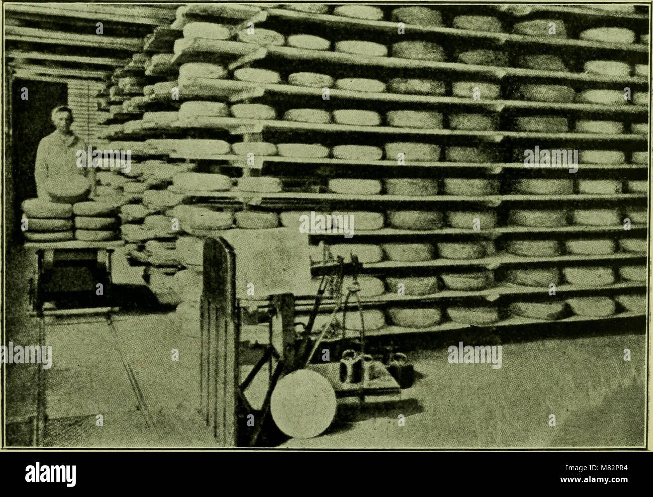First Processed Cheese This 1918 treatise on cheese production covers the techniques used in ...