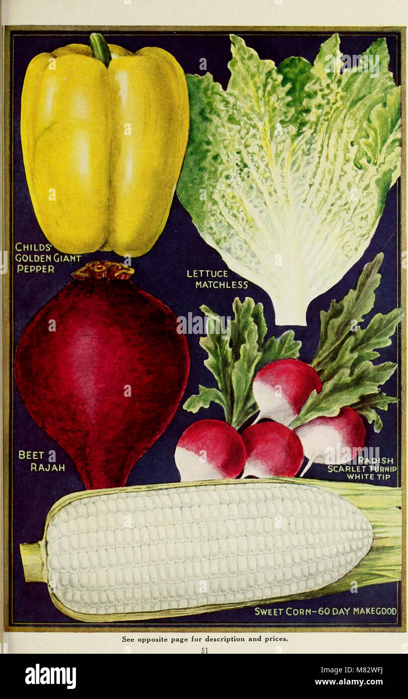 Spring 1929 Childs’ Spring 1929 catalog offers discounted prices for various ...