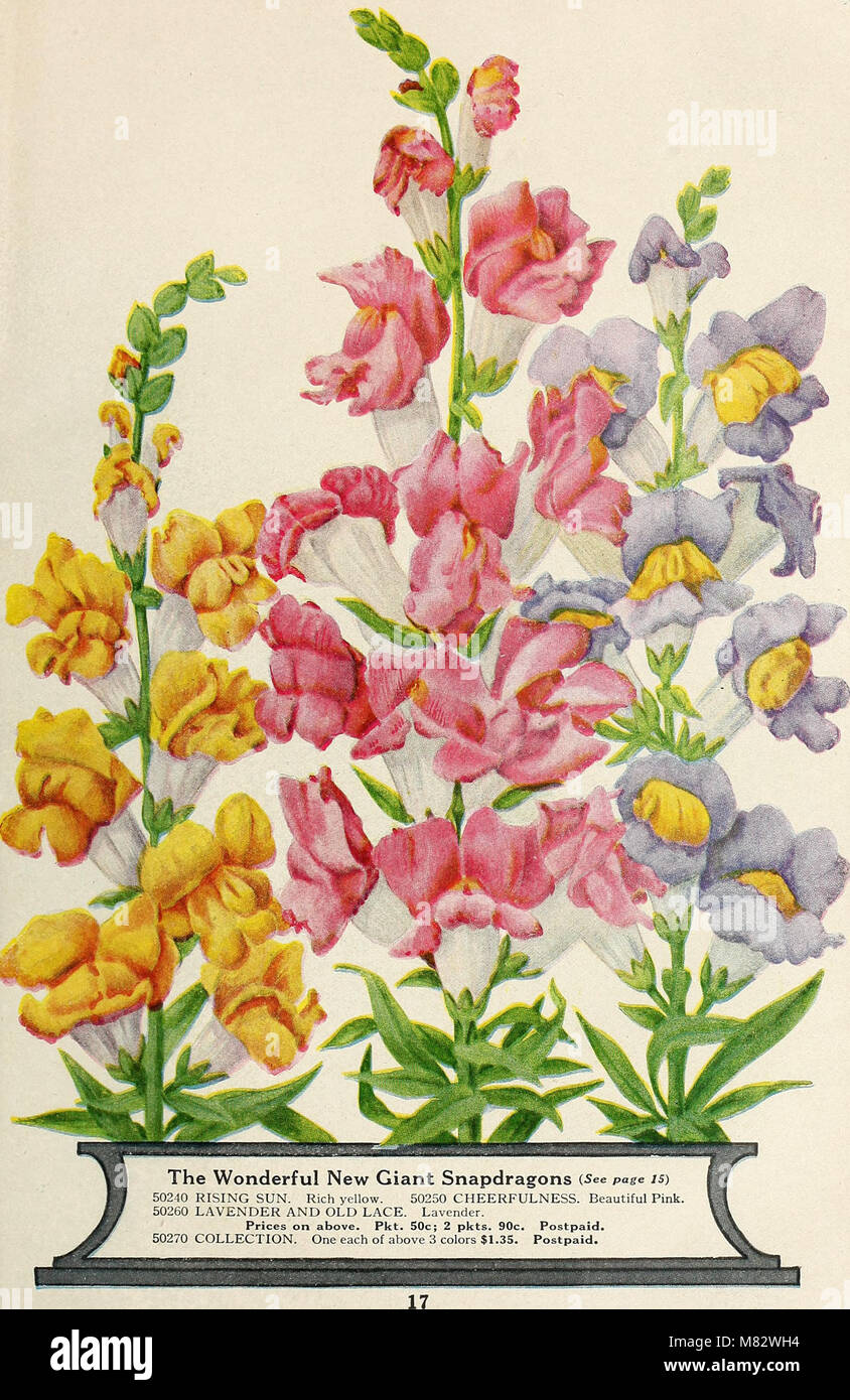 Childs' spring catalog - 51st year (1926) (19987810663 Stock Photo - Alamy