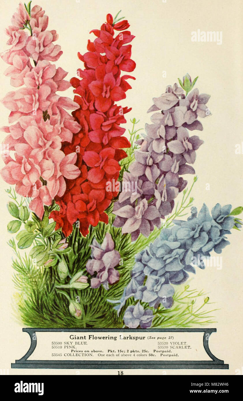 A 1926 spring catalog from Childs', marking the 51st year of ...