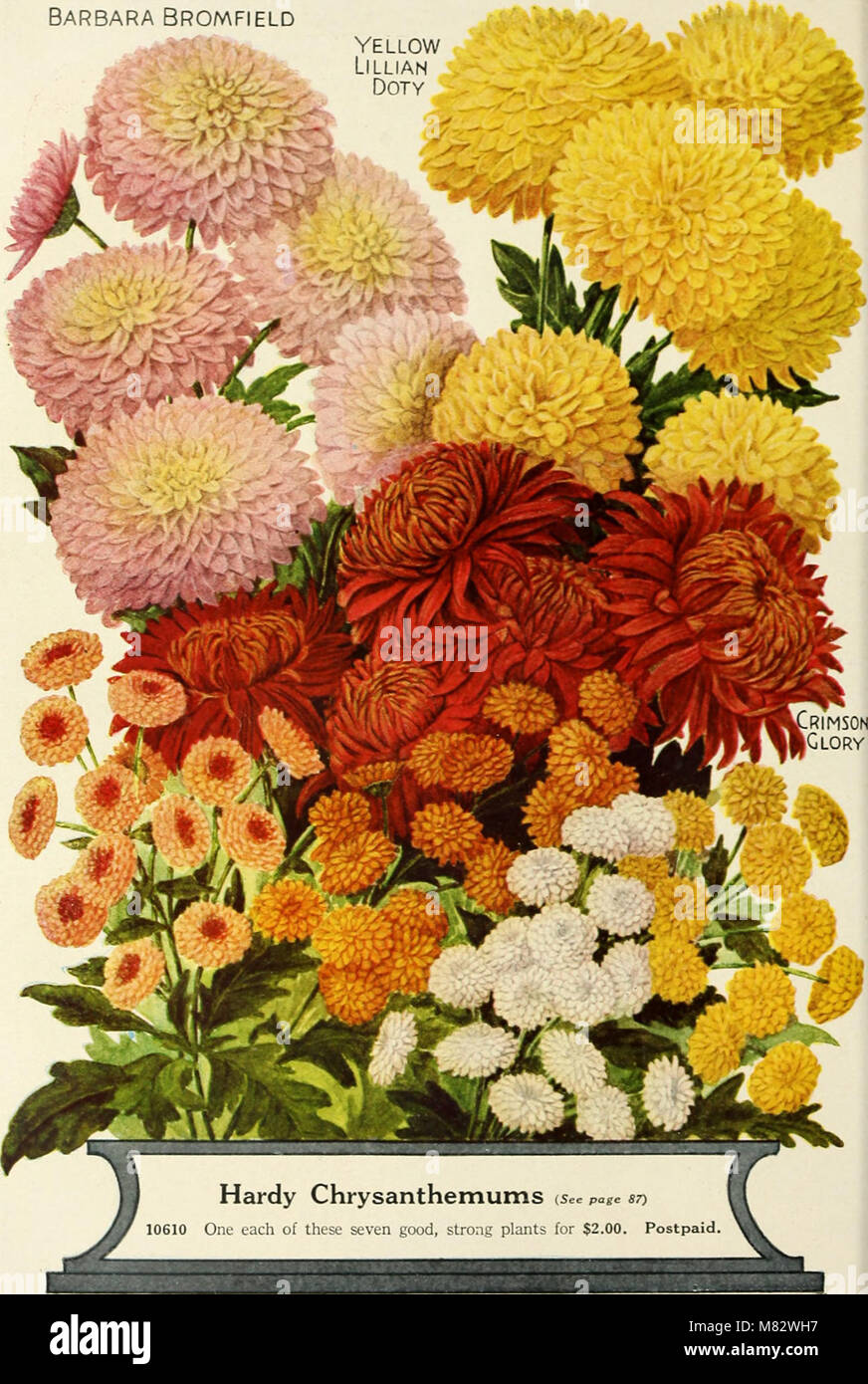 Childs' spring catalog - 51st year (1926) (20420965518 Stock Photo - Alamy