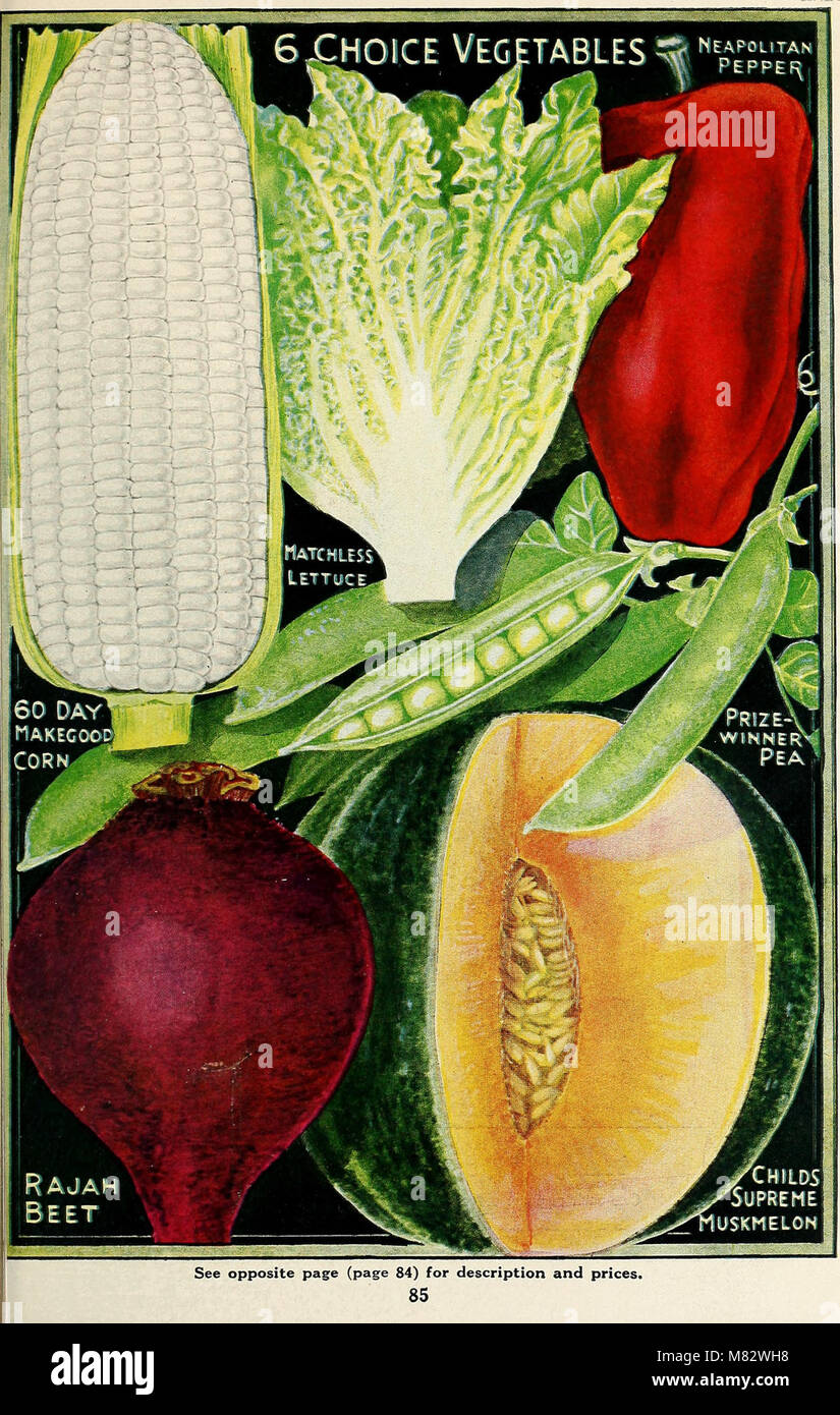 Childs' spring catalog - 51st year (1926) (20599921592 Stock Photo - Alamy
